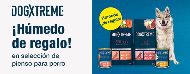 Dogxtreme: Húmedo de regalo en selección de pienso para perro