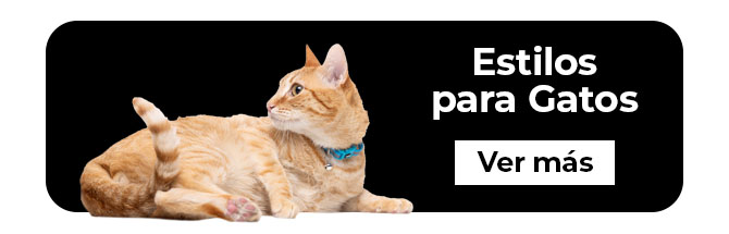 Selección de collares, arneses, correas y acesorios para el paseo de tu gato. Encuentra su estilo y dale una experiencia top.