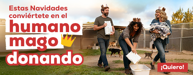 Estas Navidades conviértete en el humano mago donando