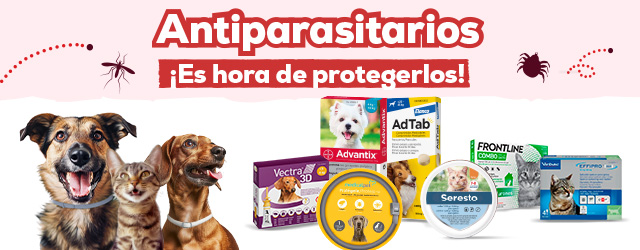 Antiparasitarios Perro y Gato: ¡Es hora de protegerlos! de las pulgas, garrapatas, flébotomos...