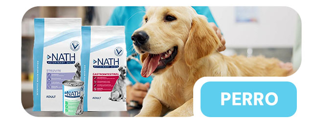 Dietas veterinarias especializadas para la salud de tu perro