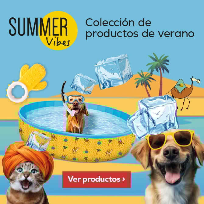 Summer Vibes: Disfruta de un buen chapuzón este verano