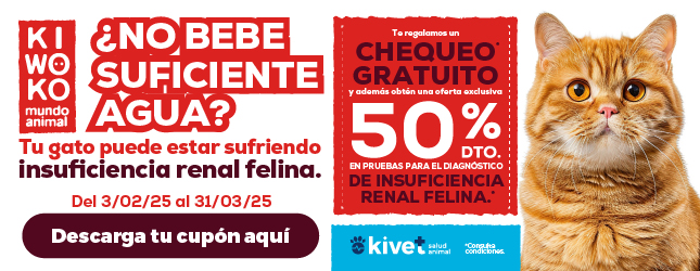 Insuficiencia renal felina