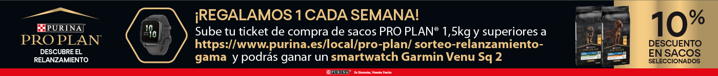 Pro plan