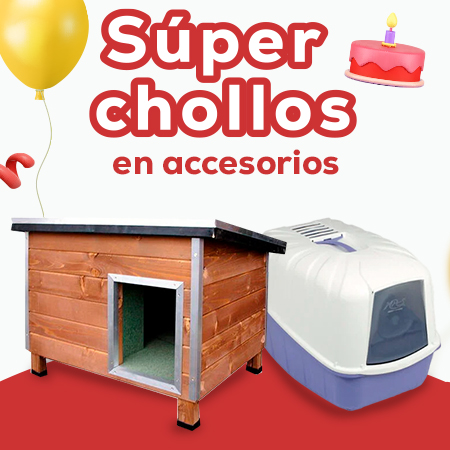 Súper chollos en los accesorios más chulos para tu perro y gato