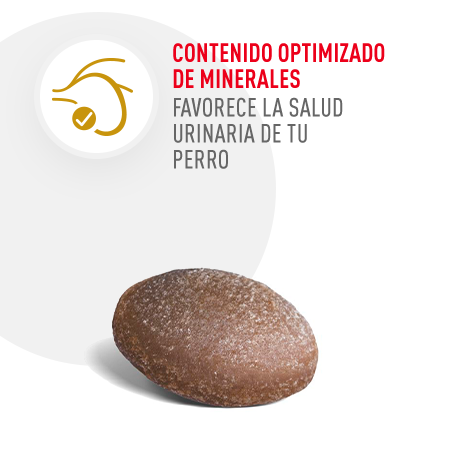  Contenido otimizado con minerales que favorece la salud urinaria.