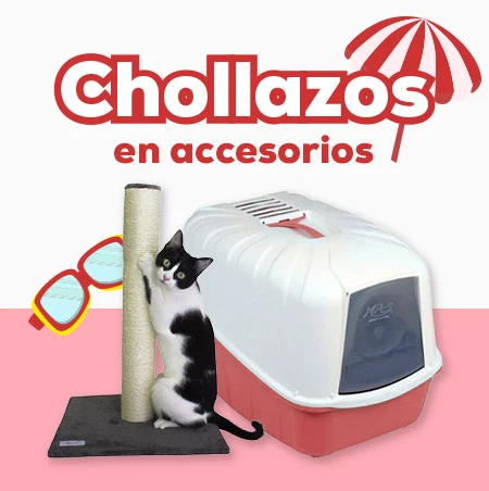 Chollazos de accesorios para gato