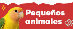 Descubre las marcas más animal lovers para pequeñas mascotas