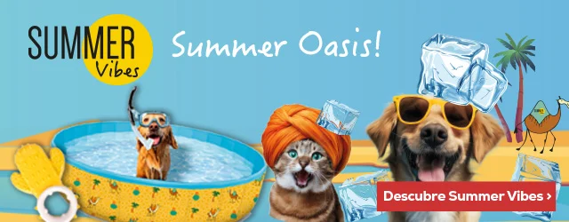 Summer Vibes: Disfruta de un buen chapuzón este verano
