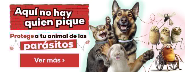 Antiparasitarios Perro: Es hora de protegerlos de las pulgas, garrapatas, flébotomos...