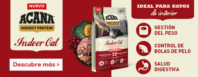 Lanzamiento exclusivo de pienso Acana para gatitos sin cereales Lanzamiento exclusivo de pienso Acana para gatitos sin cereales
