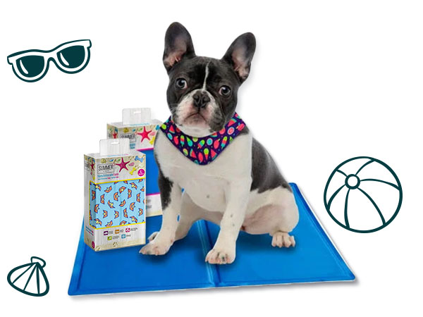 Mantas y bandanas refrescantes para perros y gatos