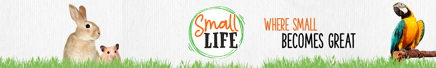 Small Life