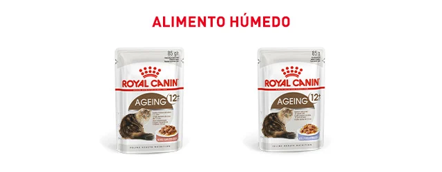 Royal Canin Senior. Encuentra la comida húmeda que mejor se adapta para tu gato de edad avanzada.