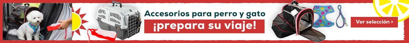 Prepara su viaje con los accesorios más top