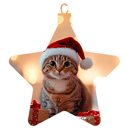 Ofertas navideñas para gato