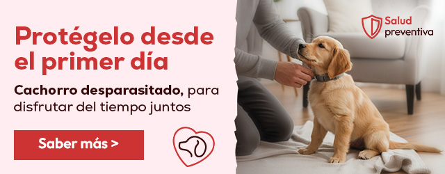 Blog Antiparasitarios cachorro