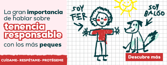 La gran importancia de hablar sobre tenencia responsable de los más peques