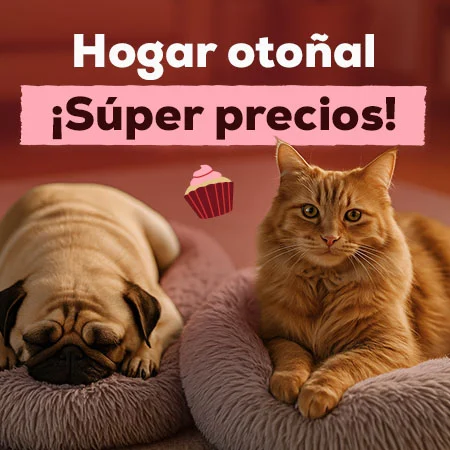 Súper precios en selección de accesorio otoñales del hogar Súper precios en selección de accesorio otoñales del hogar