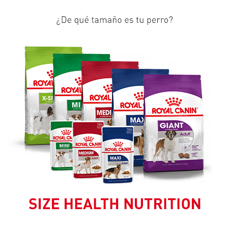 Gama Size Health Nutrition