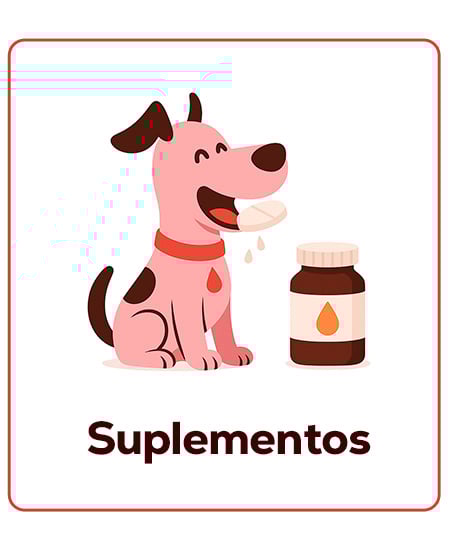 Suplementos específicos para cachorros. Salud fuerte desde el primer día