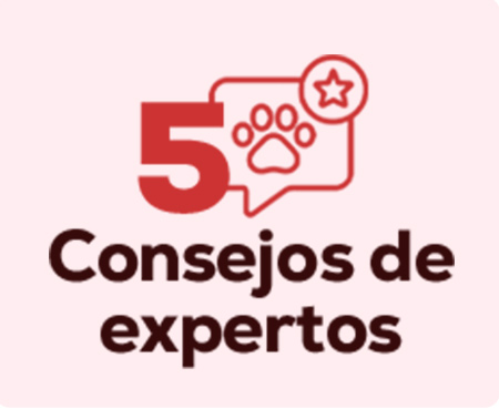 Consejos de nuestros expertos