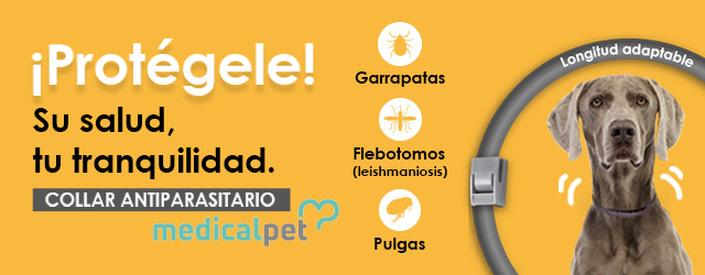 Collar Medicalpet: El collar antiparasitario para perros, eficaz contra pulgas, garrapatas y mosquito de la leishmaniosis