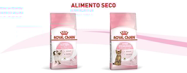 Descubre el pienso que mejor se adapta para tu gatito