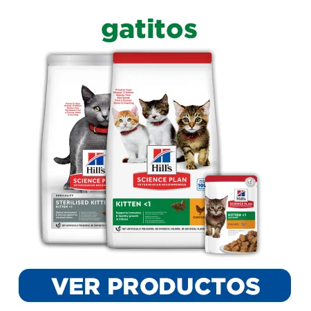 Descubre el alimento adecuado de Hill's Science Plan para tu gatito