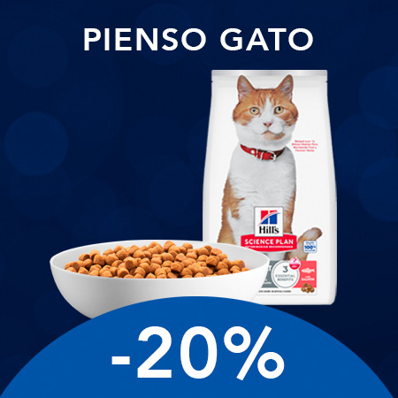 Hill's:  -20% en pienso seco para gato