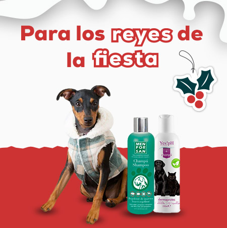 Ponle guapo en Navidad