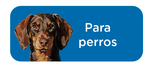 Criadores Científico: Perro