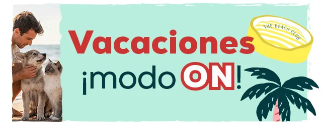 Vacaciones Mode ON: Los accesorios más refrecantes para el verano