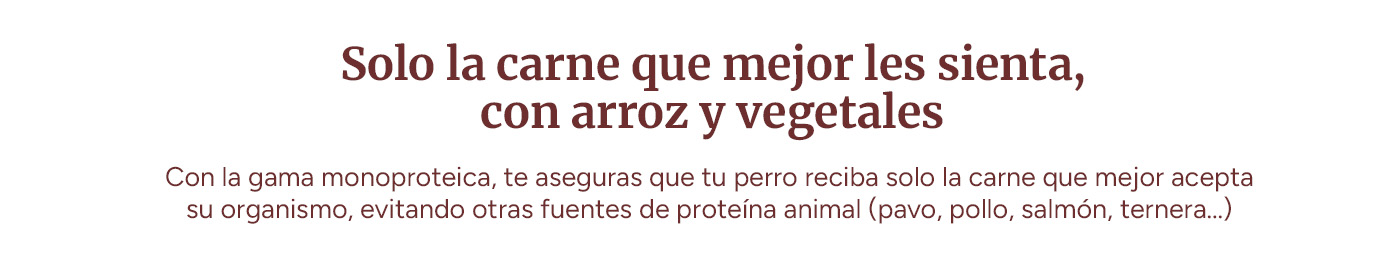 Solo la carne que mejor le sienta, con arroz y vegetales.
