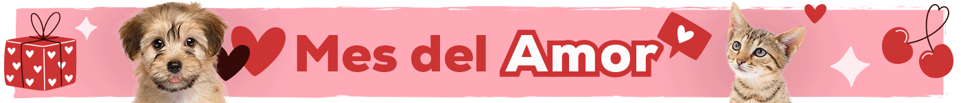 Mel del amor: Hasta -30% en selección de ropa y juguetes