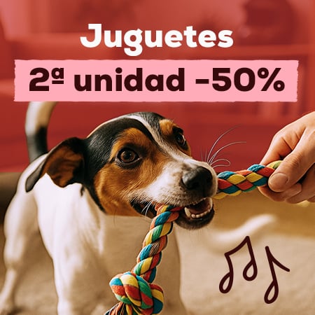 -50% en la 2ª unidad en selección de juguetes