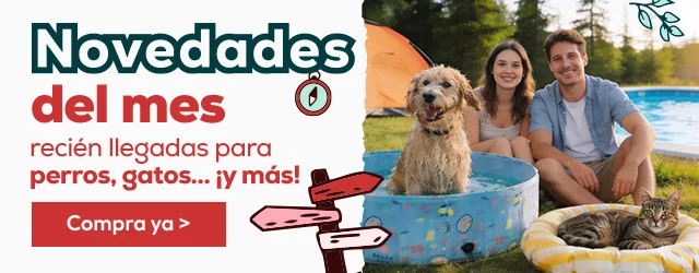 Descubres las novedades de Summer Vibes y más