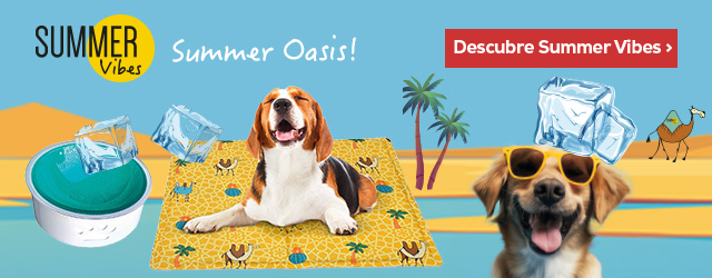 Summer Vibes: Los productos más refrescantes de la nueva colección de verano para perro