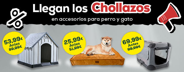 Los chollazos más black para perro