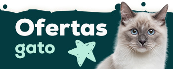 OFERTAS PARA GATO