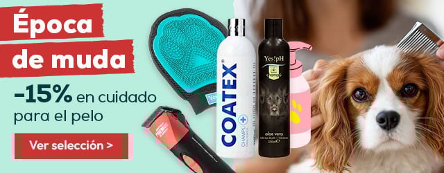 -15% en selección de accesorios para muda de pelo para perro