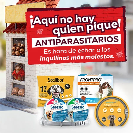 Antiparasitarios Perro y Gato: Es hora de protegerlos de las pulgas, garrapatas, flébotomos...