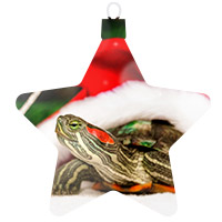 Reptiles