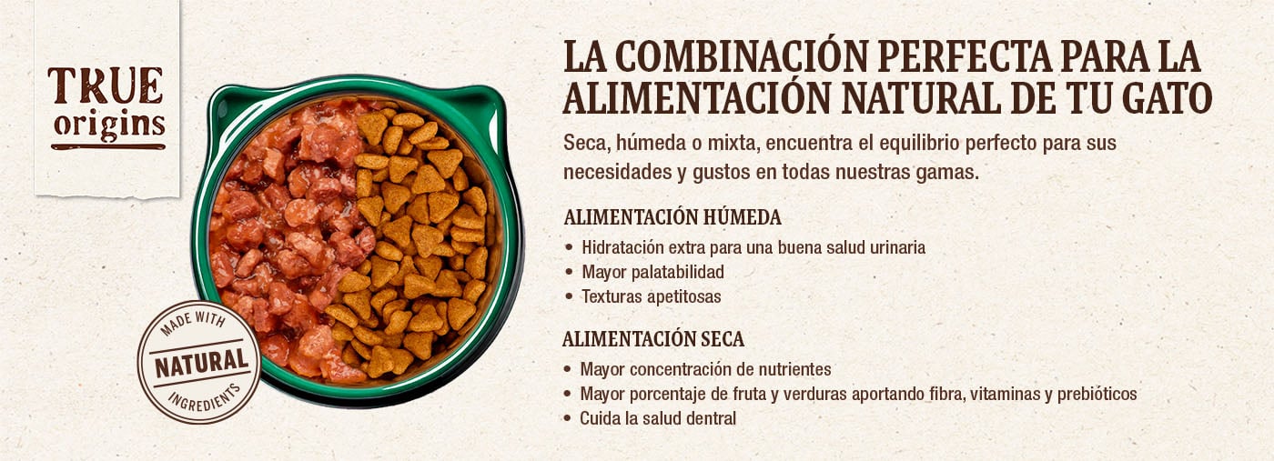 Alimentación seca y húmeda: la combinación perfecta para la alimentación natural de tu gato.