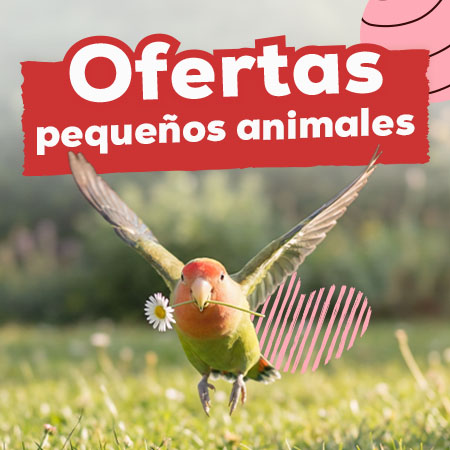 Ofertas para pequeños animales