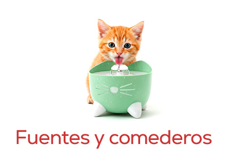 Fuentes y comederos para  gatitos