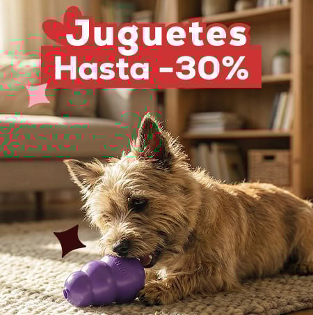 Hasta -30% en selección de juguetes