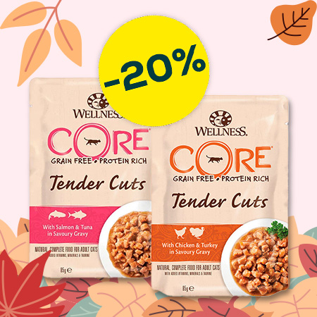 20% pack de 24 en Wellness Core