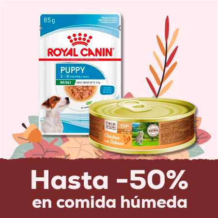 Hasta -50% en selección de comida húmeda para perro y gato