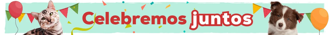 19 Aniversario: Hasta -50% en selección de accesorios